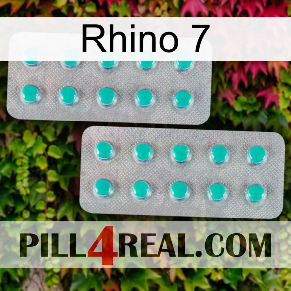 Rhino 7 29.jpg